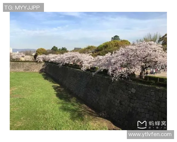 大阪飞脚与长崎航海的激烈对决赛前分析与战术展望