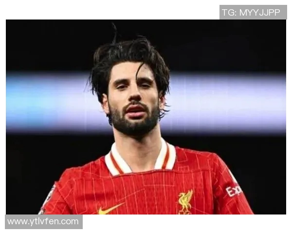 探秘索博斯洛伊的历史与文化遗产,感受其独特魅力与现代发展之路