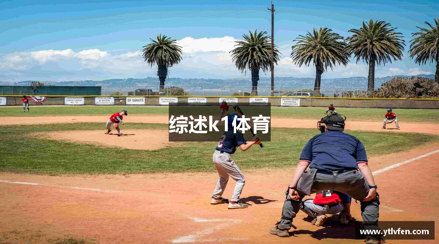 综述k1体育